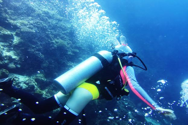 图片140.png 图片140.png