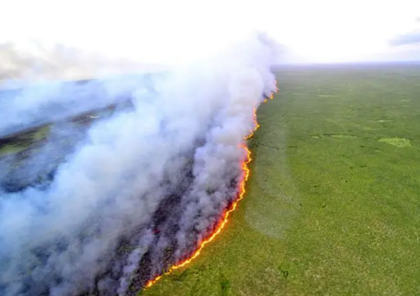 图片141.png 图片141.png