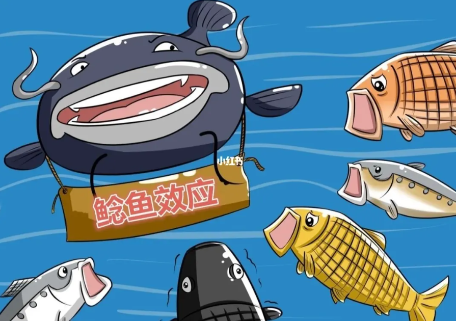 鲶鱼效应 鲶鱼效应