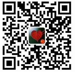 2024年12月第四届研发方法年会将在上海举行 - 第一轮通知 2024年12月第四届研发方法年会将在上海举行 - 第一轮通知