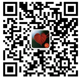 二维码.png 二维码.png